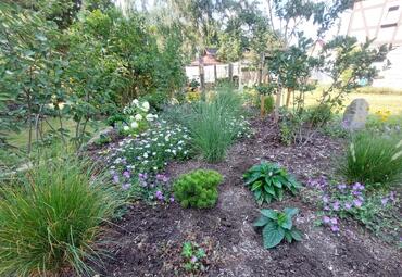 Landhausgarten Lohmen