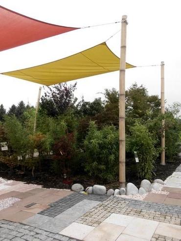 Ferne Welten- doch so nah!