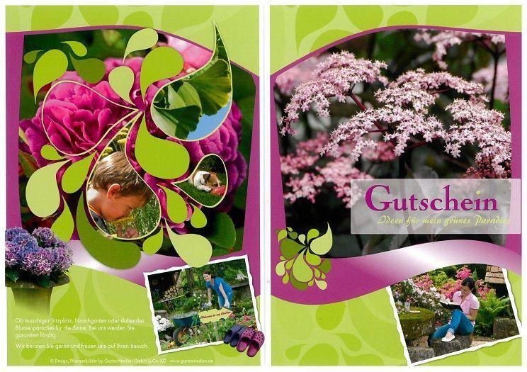Geschenkgutscheine und Baum verschenken in Bannewitz